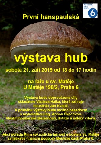 Výstava hub.